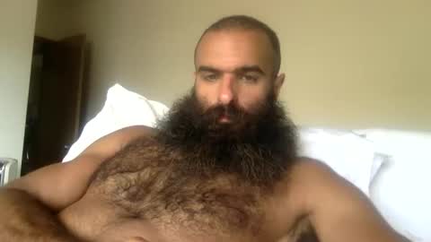 Snapshot of woof_wolf37 chatting on April 26, 2026, 5:43 pm woof_wolf37 online show from April 26, 2026, 5:43 pm