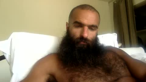Snapshot of woof_wolf37 chatting on May 18, 2026, 7:31 pm woof_wolf37 online show from May 18, 2026, 7:31 pm