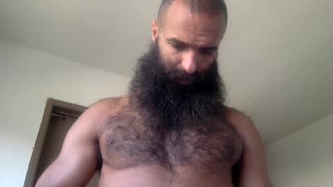 Snapshot of woof_wolf37 chatting on May 19, 2026, 3:40 pm woof_wolf37 online show from May 19, 2026, 3:40 pm