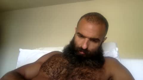 Snapshot of woof_wolf37 chatting on May 31, 2026, 5:42 pm woof_wolf37 online show from May 31, 2026, 5:42 pm