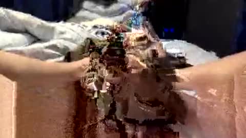 workplace_proximity_associate online show from September 28, 2025, 12:10 pm