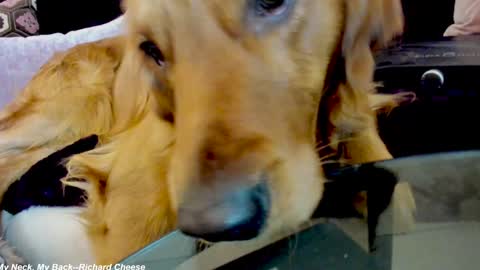 Snapshot of x_lily_x chatting on January 15, 2025, 2:38 am Lily online show from January 15, 2025, 2:38 am