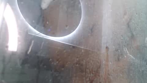 Snapshot of xandressex chatting on February 3, 2025, 11:42 am Andres online show from February 3, 2025, 11:42 am