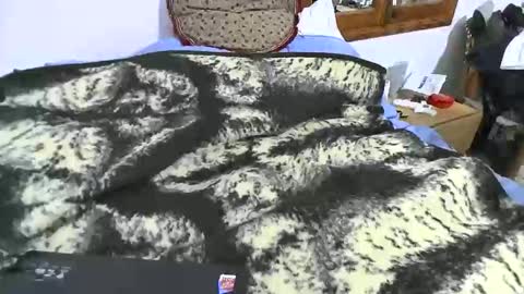 xaxi3 online show from January 10, 2026, 11:31 pm