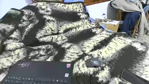 xaxi3 online show from March 15, 2026, 3:45 am