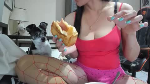 xdreamangel online show from December 20, 2024, 9:00 am