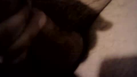 xdreamer online show from March 17, 2026, 10:24 pm