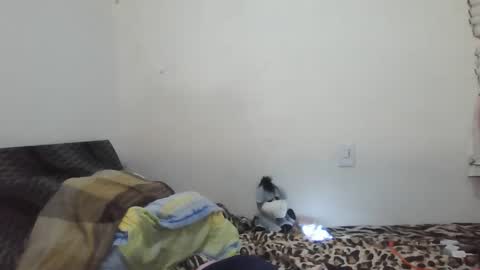 Snapshot of xime5144838 chatting on February 23, 2025, 1:35 am Ximena online show from February 23, 2025, 1:35 am