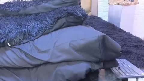 ximena online show from February 22, 2025, 3:34 am