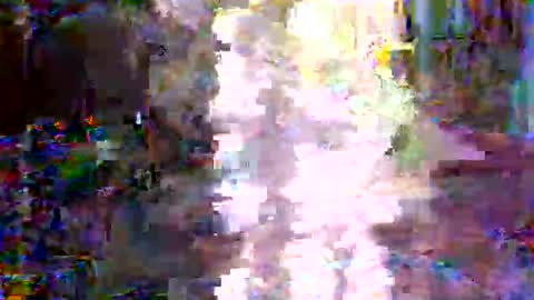 Snapshot of xixo6969 chatting on February 3, 2026, 2:53 am xixo6969 online show from February 3, 2026, 2:53 am