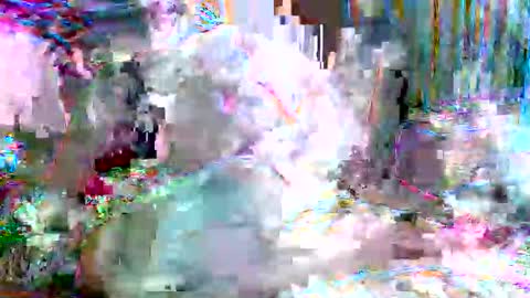 Snapshot of xixo6969 chatting on February 20, 2026, 5:15 am xixo6969 online show from February 20, 2026, 5:15 am