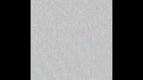 JSSD online show from November 23, 2025, 8:52 pm