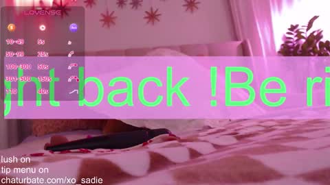 Snapshot of xo_sadie chatting on February 2, 2026, 6:01 am Xo Sadie online show from February 2, 2026, 6:01 am