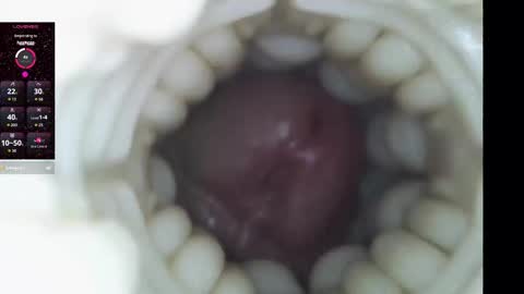 xoxowtf online show from February 9, 2026, 11:20 pm