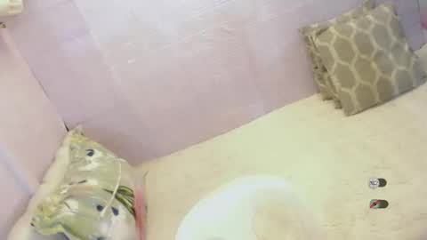 Snapshot of xsabbylicious69 chatting on January 6, 2026, 12:36 am xsabbylicious69 online show from January 6, 2026, 12:36 am