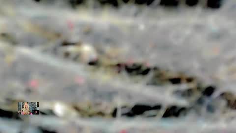 Femboy Exotic online show from February 16, 2025, 4:53 am