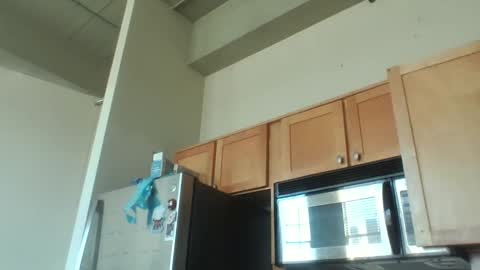 Danielle online show from December 3, 2025, 8:29 pm