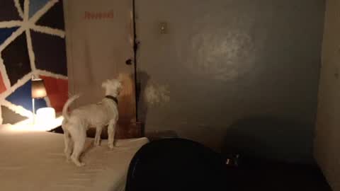 Snapshot of xxxsexydollxxx chatting on February 4, 2025, 11:49 am Melissa online show from February 4, 2025, 11:49 am