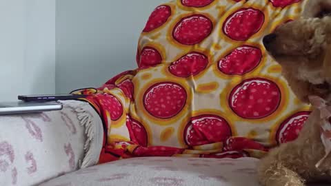 TonyDoesMiami online show from January 26, 2025, 5:13 pm