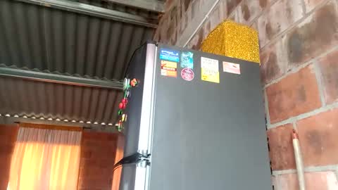 Yajz online show from October 3, 2025, 4:59 pm