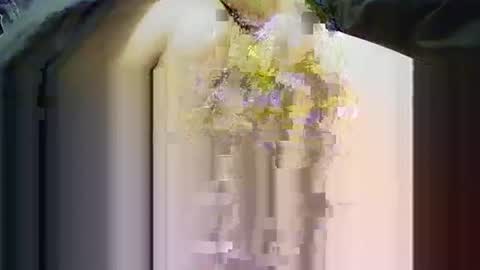 yangolox3 online show from November 14, 2025, 3:55 pm