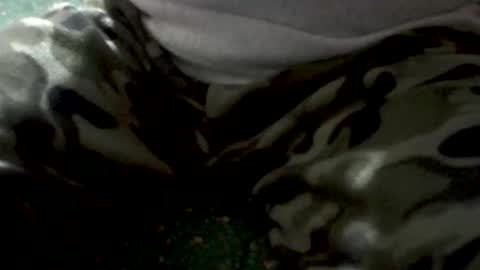 Yankee online show from February 1, 2026, 5:28 am