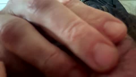 yappe75 online show from April 21, 2026, 11:16 am