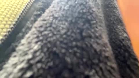 yasarsimo99154258 online show from April 7, 2026, 10:59 am