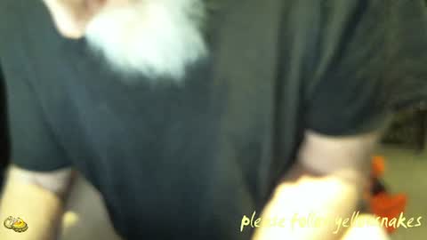 Snapshot of yellowsnakes chatting on January 14, 2026, 1:50 pm . y e l l o w s n a k e s . online show from January 14, 2026, 1:50 pm