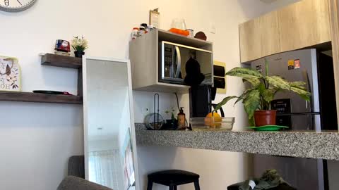 Snapshot of yes_mommy_zlata chatting on February 2, 2025, 10:28 pm Zlata online show from February 2, 2025, 10:28 pm