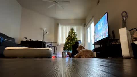 Palmela Handerson online show from December 18, 2024, 11:40 pm