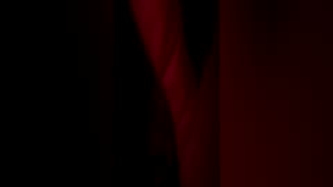 yoda_dummy3 online show from July 7, 2026, 8:18 am