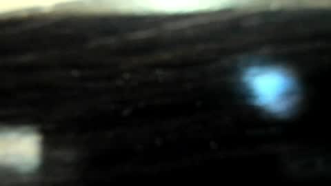 yoonhee_ki online show from April 5, 2026, 2:47 pm