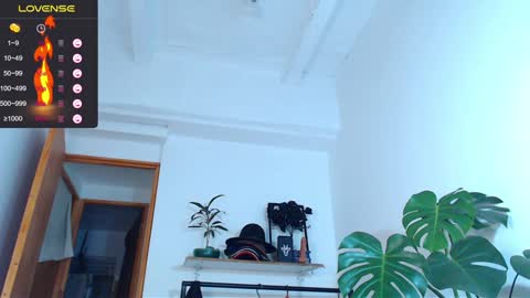 Enzo online show from January 31, 2025, 6:35 am