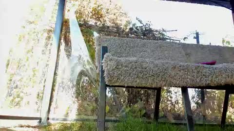 Snapshot of you_love_melisa chatting on November 2, 2025, 11:56 am private on 18 per minute start private 500 tokensOnlyfans online show from November 2, 2025, 11:56 am