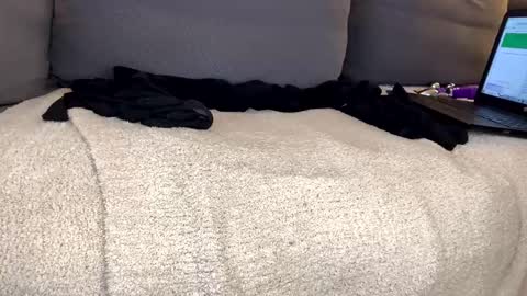 Alison online show from January 5, 2025, 8:10 pm