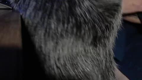 YumGuy69 online show from September 17, 2025, 12:40 pm