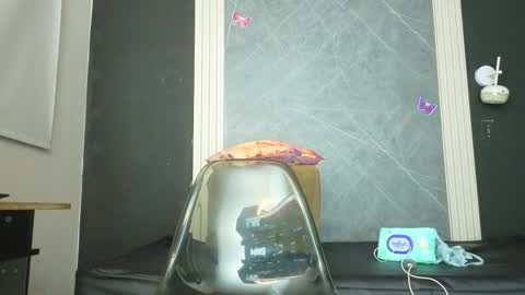 Yummyduo online show from February 10, 2026, 11:03 am