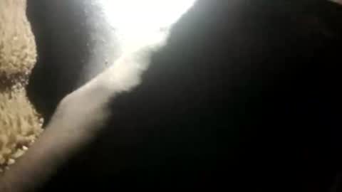 Snapshot of yung_boy42 chatting on November 16, 2025, 2:17 am yung_boy42 online show from November 16, 2025, 2:17 am