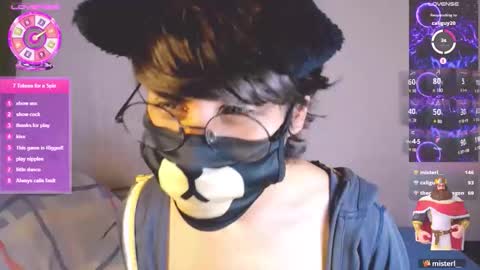 the puppy boy online show from March 5, 2026, 4:08 am