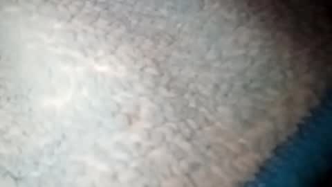 Snapshot of yuyu33333284475 chatting on January 22, 2025, 3:52 am yuyu33333284475 online show from January 22, 2025, 3:52 am