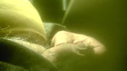 zaboski4 online show from February 26, 2026, 8:24 am