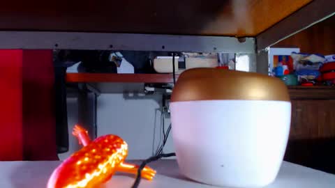 Snapshot of zafiro_subversiva chatting on March 16, 2026, 9:30 pm zafiro_subversiva online show from March 16, 2026, 9:30 pm