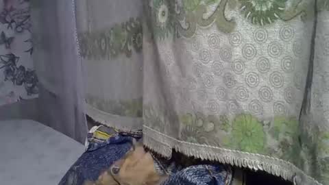 Snapshot of zarinamarlin chatting on May 5, 2026, 6:21 am zarinamarlin online show from May 5, 2026, 6:21 am