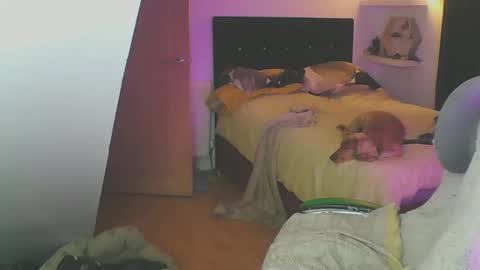 Snapshot of zedbooy chatting on January 19, 2025, 6:10 pm Zed online show from January 19, 2025, 6:10 pm