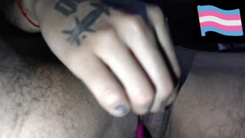 Zeldris online show from December 14, 2024, 1:38 pm