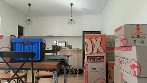 zeroventure online show from March 31, 2026, 3:52 am