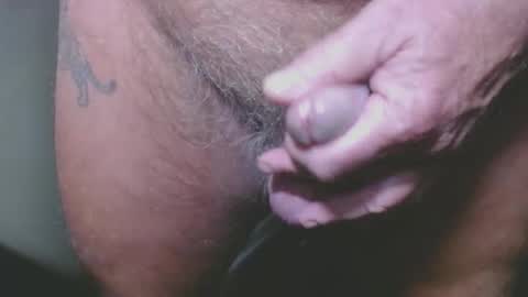 Snapshot of zerozero5555 chatting on January 5, 2025, 3:00 am bambi cumslut online show from January 5, 2025, 3:00 am