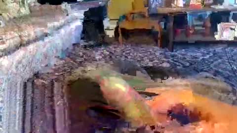 Snapshot of zerrannor chatting on November 1, 2025, 9:00 am Zerr online show from November 1, 2025, 9:00 am