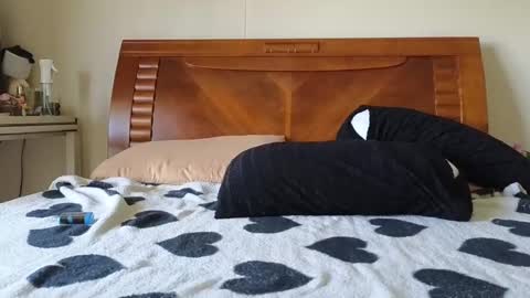 Ziggy ziggy-   online show from December 6, 2024, 3:30 am